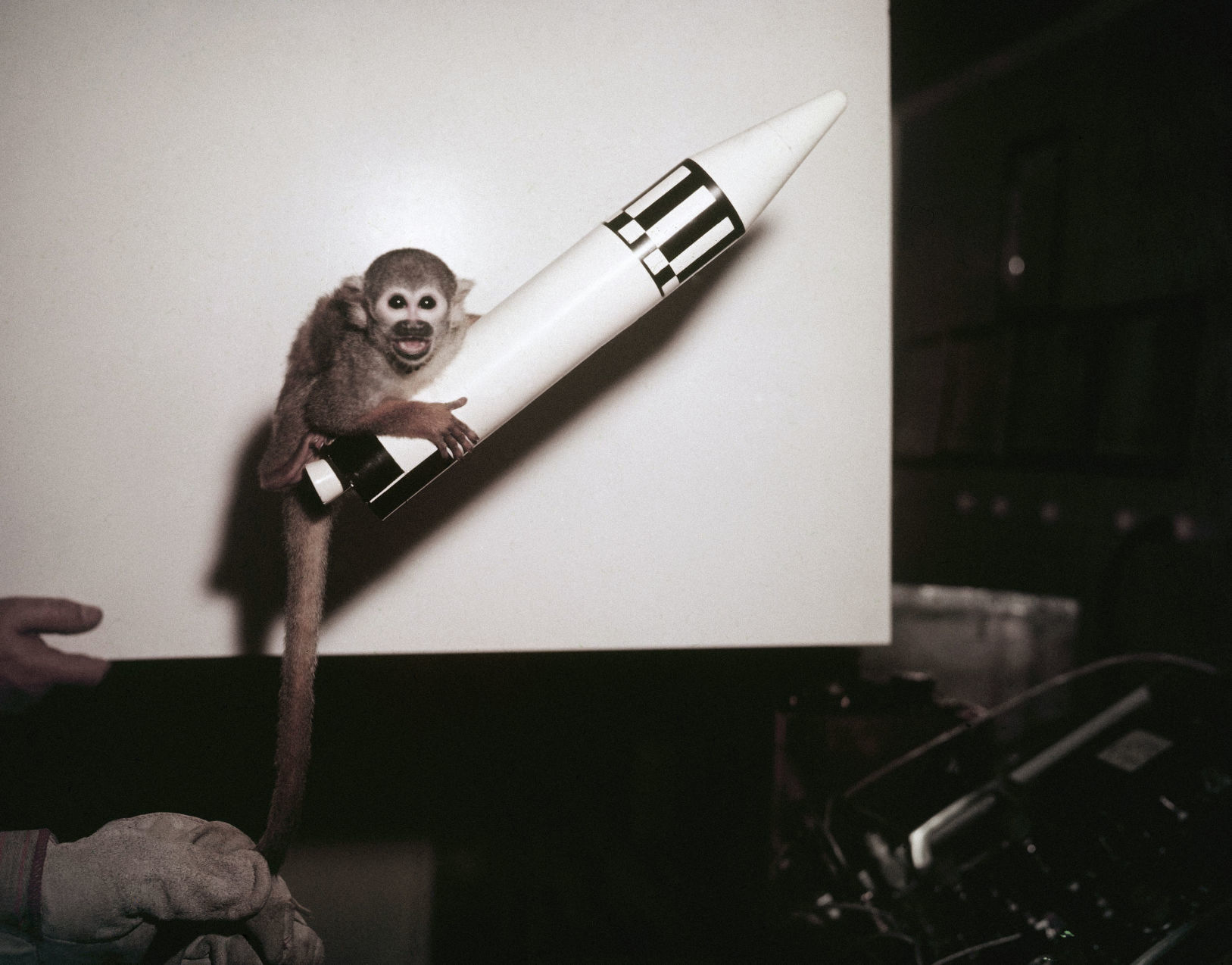 1959: Monkeys